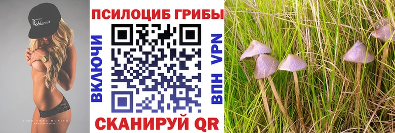 Псилоцибиновые грибы мухоморы  Купить закладки  Лодейное Поле 